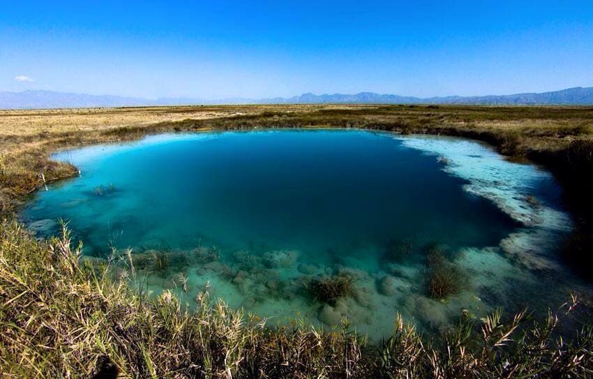 Datos curiosos sobre Cuatro Ciénegas, Coahuila