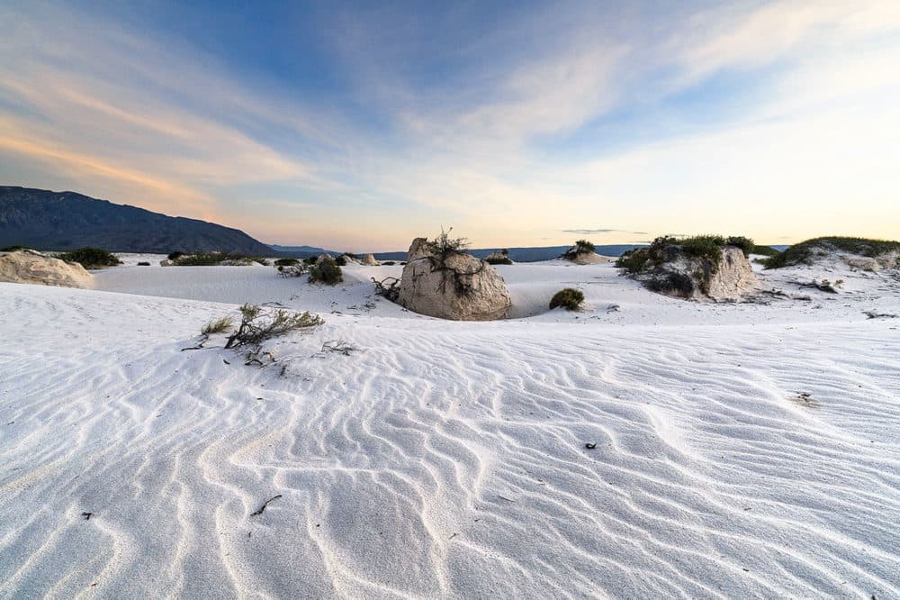 Dunas de Yeso, el insólito desierto blanco de Coahuila