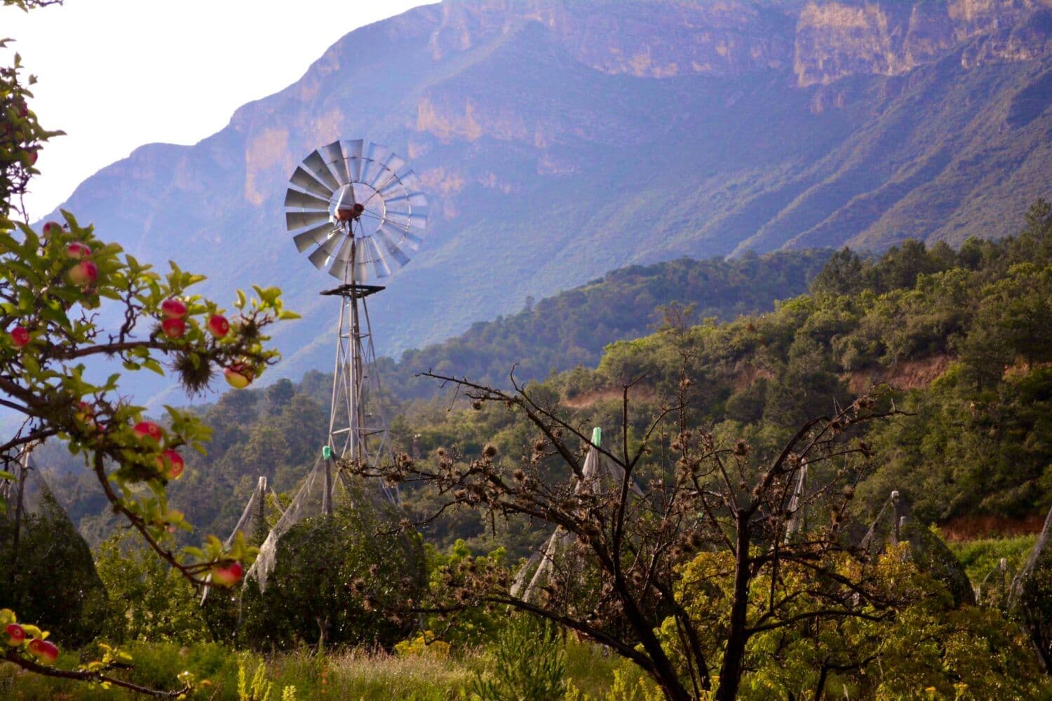 Destinos imperdibles en Coahuila para Semana Santa: naturaleza, historia y tradición del norte de México