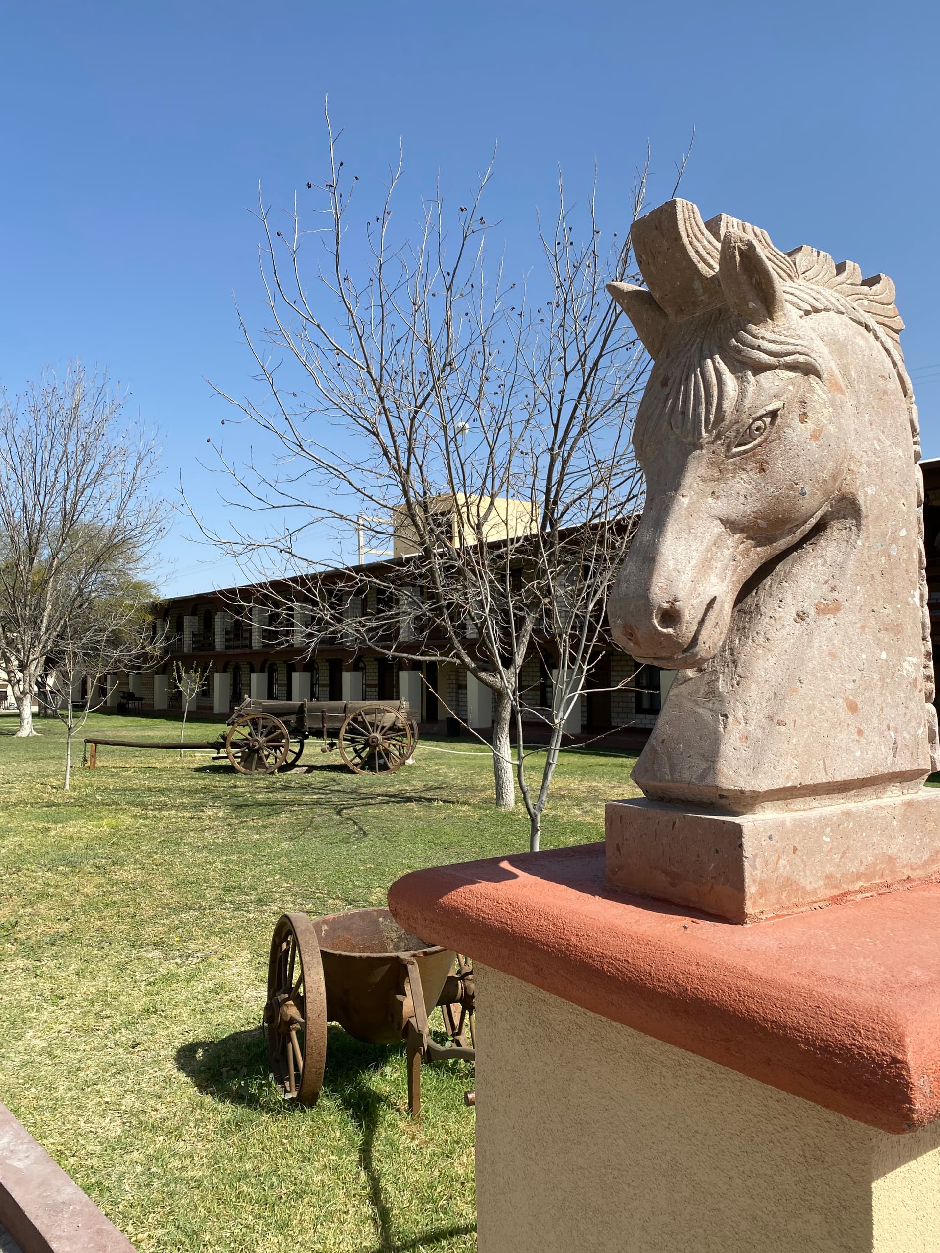 Hotel El Nogalito imagen 19